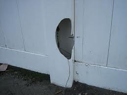 vinyl fence damaged